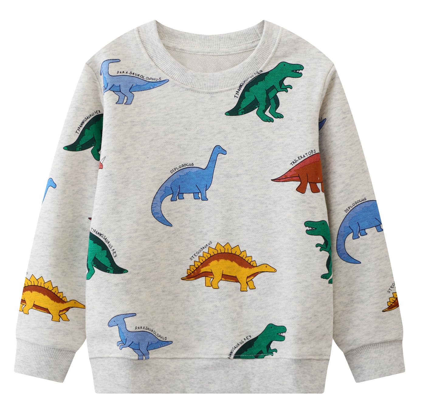 Toddler Boys Dinosaur Print Sweatshirt Long Sleeve Pullover Kids Cotton Crewneck Outfits Shirts 5T